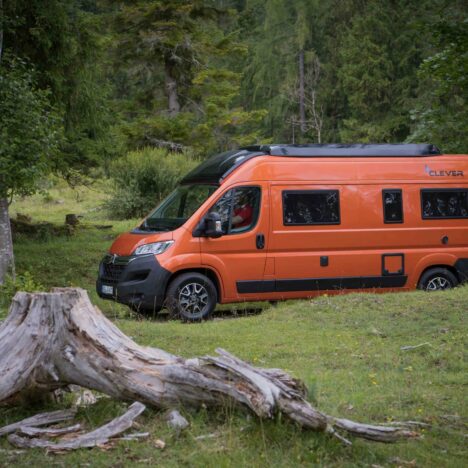 Mit dem Hund im Clever Celebration 600