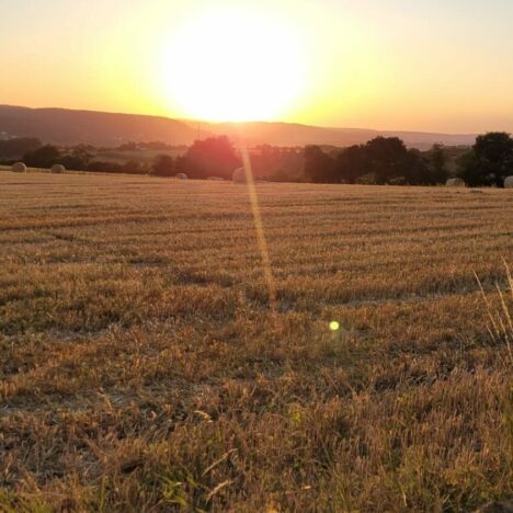 Die erste Nacht im Clever Celebration 600