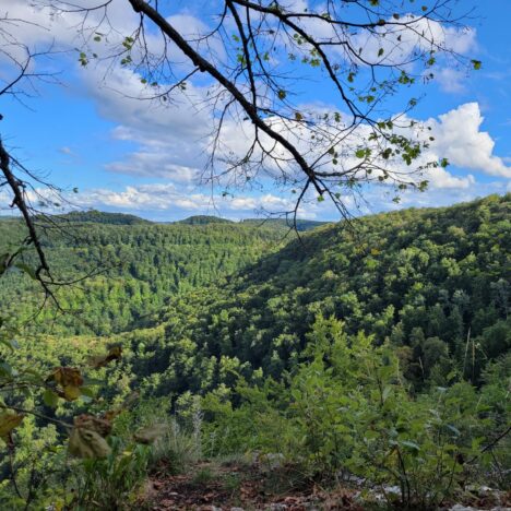Der Clever Celebration wurde geparkt