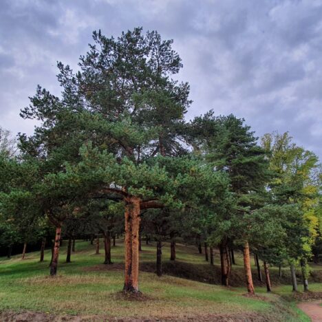 Im schönen Kaiserstuhl, ein verlängertes Wochenende im Clever Celebration