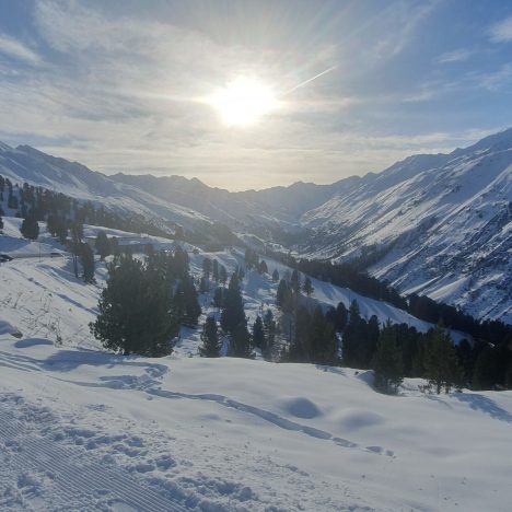 LEOY erneut in den Niederlanden