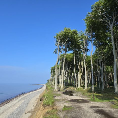 Nochmals in den Niderlanden – Silvester im Clever Celebration