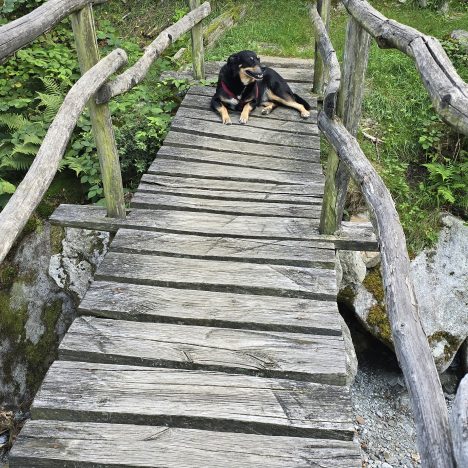 Der Clever an der Ostsee